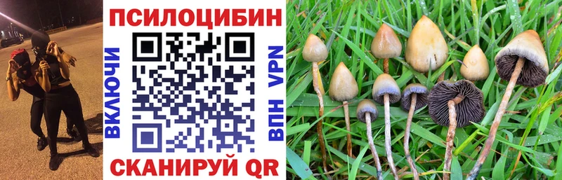 Псилоцибиновые грибы Cubensis  Купить  Плёс 